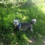 Profile Picture of Hugh Harrell (@hugh.harrell) on Instagram