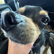 Profile Picture of Nathaniel Morales (@NathanielMorales-g7r) on Youtube