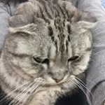 Profile Picture of Crystal (@judyzhuy) on Instagram