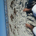 Profile Picture of Andrew Contreras (@acon2345) on Instagram