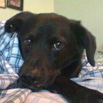 Profile Picture of Derek Gentry (@dgentry74) on Instagram