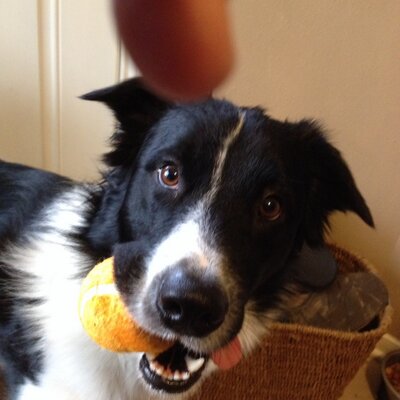 Profile Picture of Jim Ricks (@Jimricks41) on Twitter