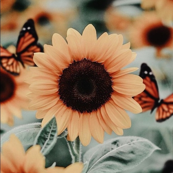 Profile Picture of Brianna Littlejohn (@brilittle_21) on Poshmark