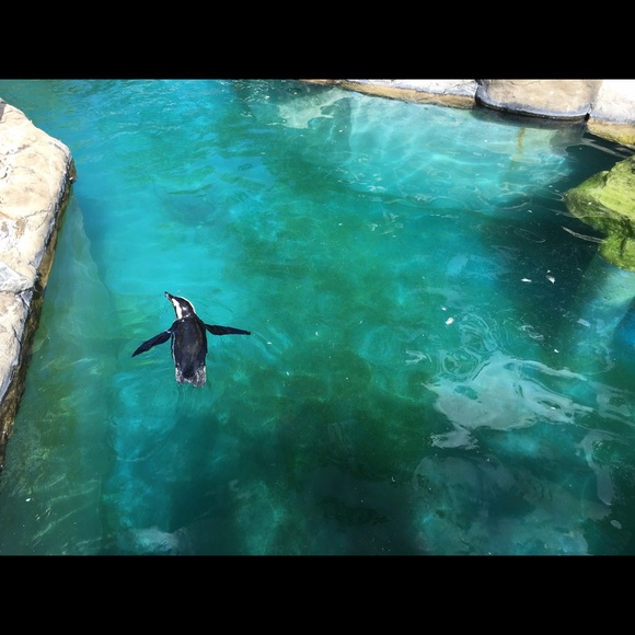 Mahsa Akhavan - Poshmark Profile Picture of Mahsa Akhavan (@perspearl) on Poshmark