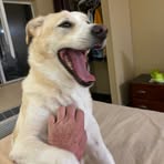 Annabelle Hudges - Facebook Profile Picture of Annabelle Hudges (@Annabelle-Hudges) on Facebook