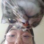 Profile Picture of emily feng (@emily._.feng) on Instagram