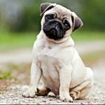 Profile Picture of alvin washington (@alvinkingakaswag) on Instagram