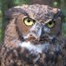 Profile Picture of Tracy Eckes Johnson (@tracy.eckesjohnson) on Facebook