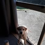 Profile Picture of Maurice Bowen (@maurice.bowen.779264) on Facebook