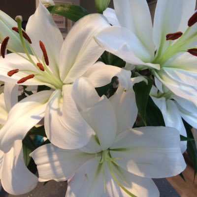 Lisa Gane - Twitter Profile Picture of Lisa Gane (@LisaGane1) on Twitter