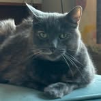 Profile Picture of Stephanie Jokich (@Stephanie-Jokich) on Facebook