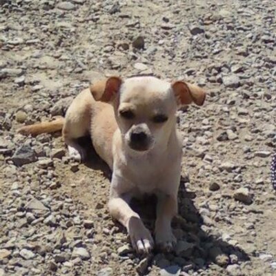 Profile Picture of Barry Chavez (@barrychavez2484) on Twitter