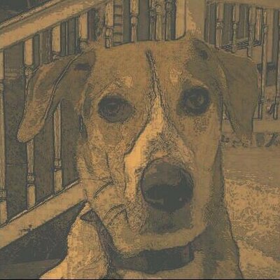 Profile Picture of Bob Snader (@rsnader2) on Twitter