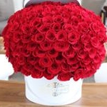 Profile Picture of Mark Robledo (@mrob8914) on Instagram