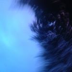 Profile Picture of Jillian Elizabeth 🌹✨ (@jillpickle.r34) on Instagram