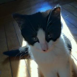 Profile Picture of Tillie Whitekerravala (@tillie.whitekerravala) on Facebook