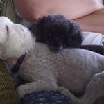 Ellen Dwyer - Instagram Profile Picture of Ellen Dwyer (@ellenbarrydwyer) on Instagram