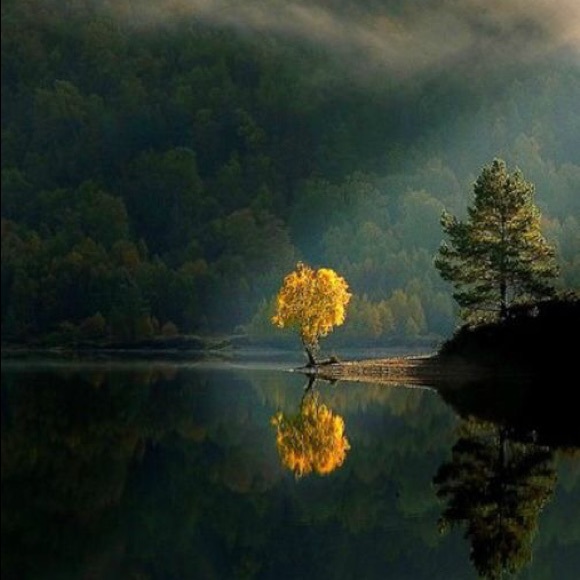 Profile Picture of Heidi Schmelter (@summerthreads) on Poshmark