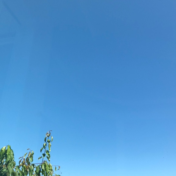 Profile Picture of Adam Nguyen (@aramboii) on Poshmark