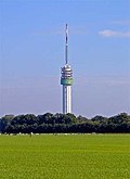 Profile Picture of Markeloon Wikipedia