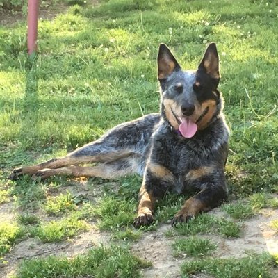 Profile Picture of Lorrie Freeman (@LorrieF40003743) on Twitter