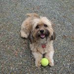 Profile Picture of RobertByram (@robertbyram7887) on Instagram