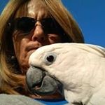 Profile Picture of Michelle Goings (@goingsmichelle) on Instagram