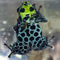 Profile Picture of Nathan Case (@@Nath5) on Tiktok
