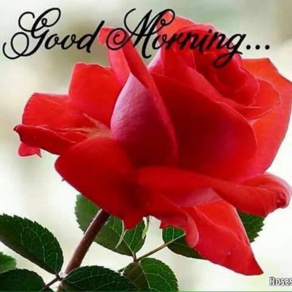 Profile Picture of Sarbjeet Singh (@sarbjeet_singh) on Poshmark