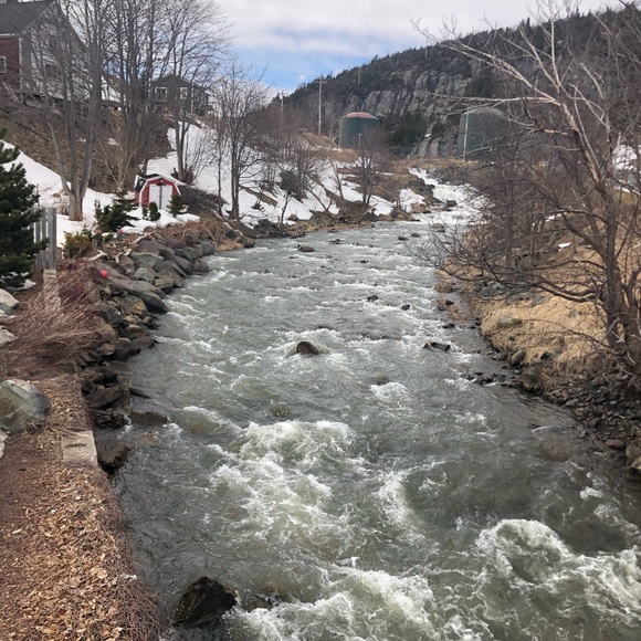 Profile Picture of Deirdre Cameron-mckenna (@deirdraza) on Poshmark