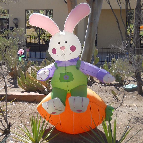 Profile Picture of Teresa Darvalics (@teresad42) on Poshmark