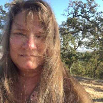 Profile Picture of Vivian Keller (@artsprig) on Twitter