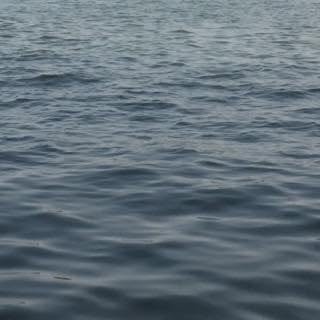 Profile Picture of 安宁 (@_lily_an_) on Instagram