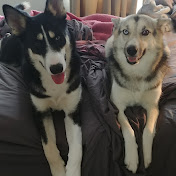 Profile Picture of Lisa Draper (@lisadraper8638) on Youtube