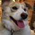Profile Picture of John Sullivan (@john.sullivan.9655) on Facebook