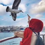 sheida_hoseyni.ℳordad🌛.natural - Instagram Profile Picture of sheida_hoseyni.ℳordad🌛.natural (@hoseyniii.sheida20) on Instagram