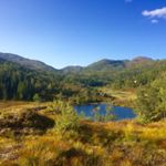 Profile Picture of Lillian Hanebrekke (@lillianhanebrekke) on Instagram