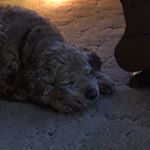 Profile Picture of Phil Mieszkuc (@pmieszkuc) on Instagram