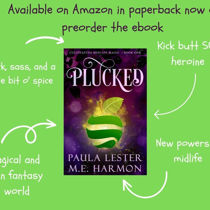 Profile Picture of Paula Lester Author (@paulalestermysteries) on Tiktok