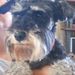 Profile Picture of Chris Alstrom (@chrisalstrom) on Pinterest