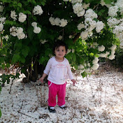 Profile Picture of Mohsen Rahimi (@mohsenrahimi8630) on Youtube