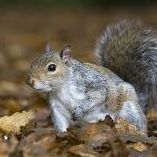 Profile Picture of Carter Mcknight (@carter.mcknight.9) on Facebook