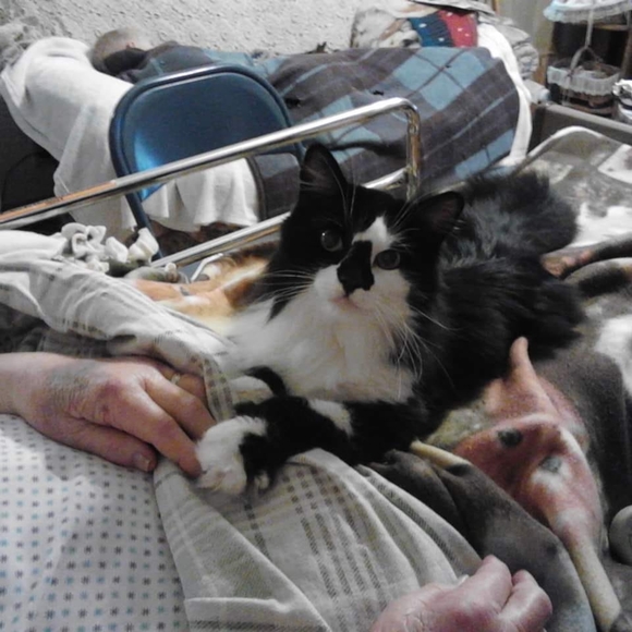 Profile Picture of Theresa Poppler (@kerriakitty) on Poshmark