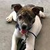 Profile Picture of John Jacoby (@john.jacoby.98478) on Facebook