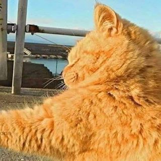 Profile Picture of Jerod PolsomGunderson (@jerod.polsomgunderson) on Facebook