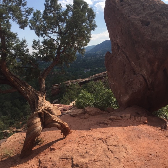 Profile Picture of Daniel Machalec (@mach0047) on Poshmark