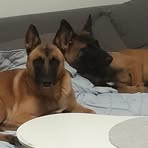 Profile Picture of Stassin Vincent (@Stassin-Vincent) on Facebook