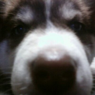 Profile Picture of Andrew Kraft (@andrewkraft60) on Twitter