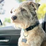 Profile Picture of jean Paul 123 (@ferdinanddavid996) on Instagram