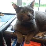 Profile Picture of Keith Pedigo (@keith.pedigo.39) on Facebook